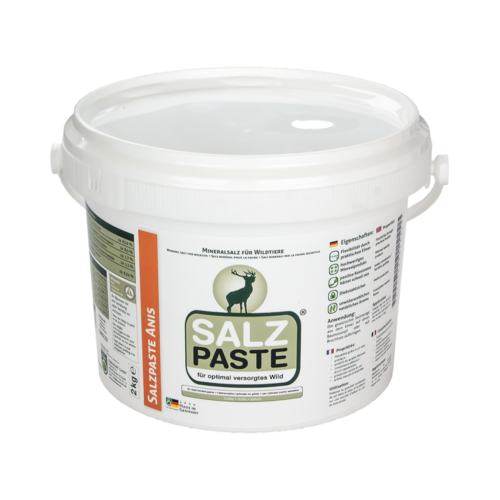 MINERALNA SOLNA PASTA DEUSA Z AROMO JANEŽA 2 KG